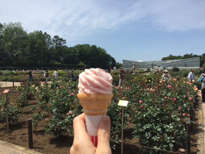 🌹 로즈가든(이시다 로즈가든) 이미지 5